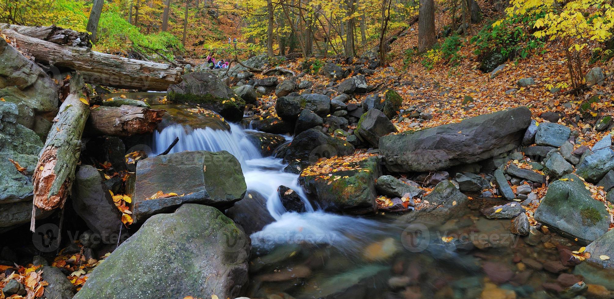 Autumn creek in forest photo