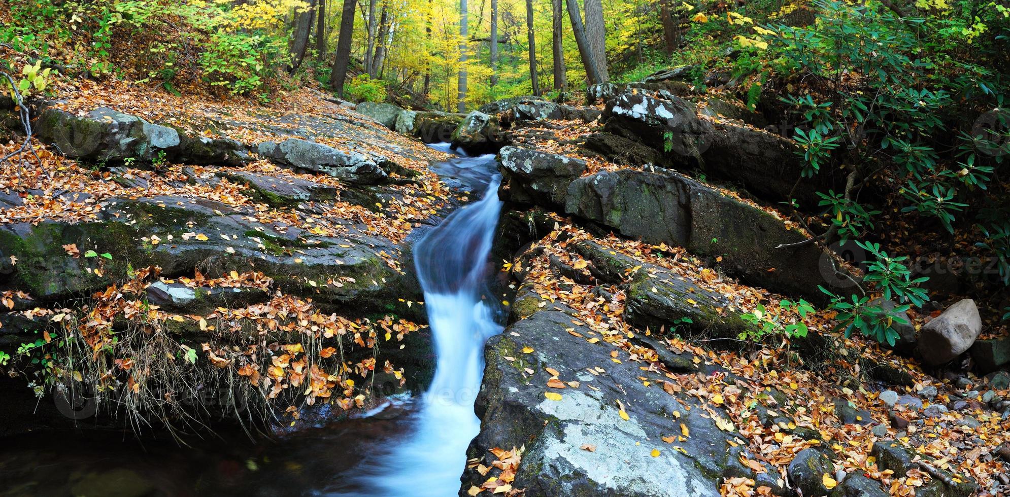 Autumn creek on rocks with foliage panorama photo