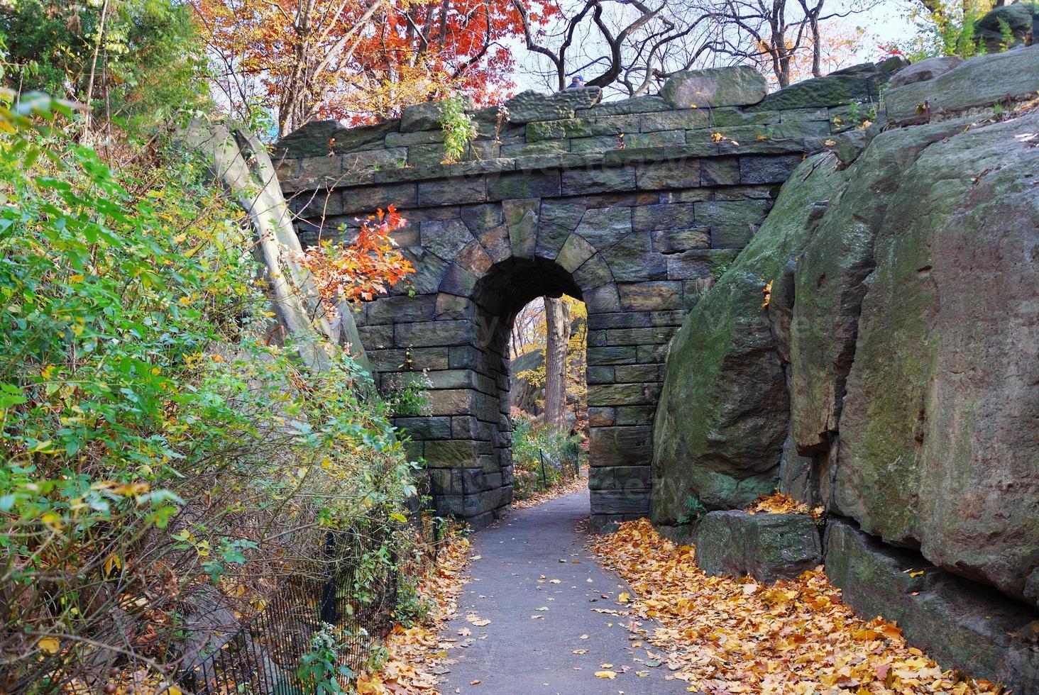 New York City Manhattan Central Park photo