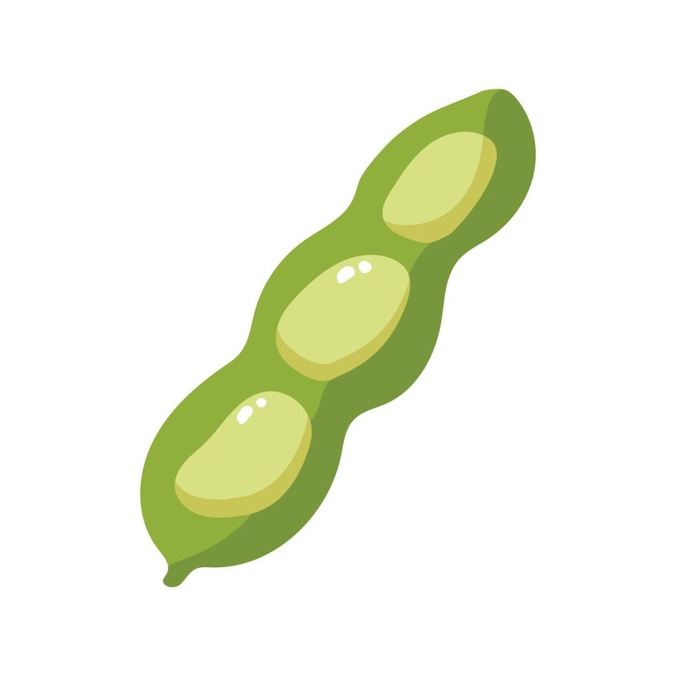 Fava Beans Vegetable vector