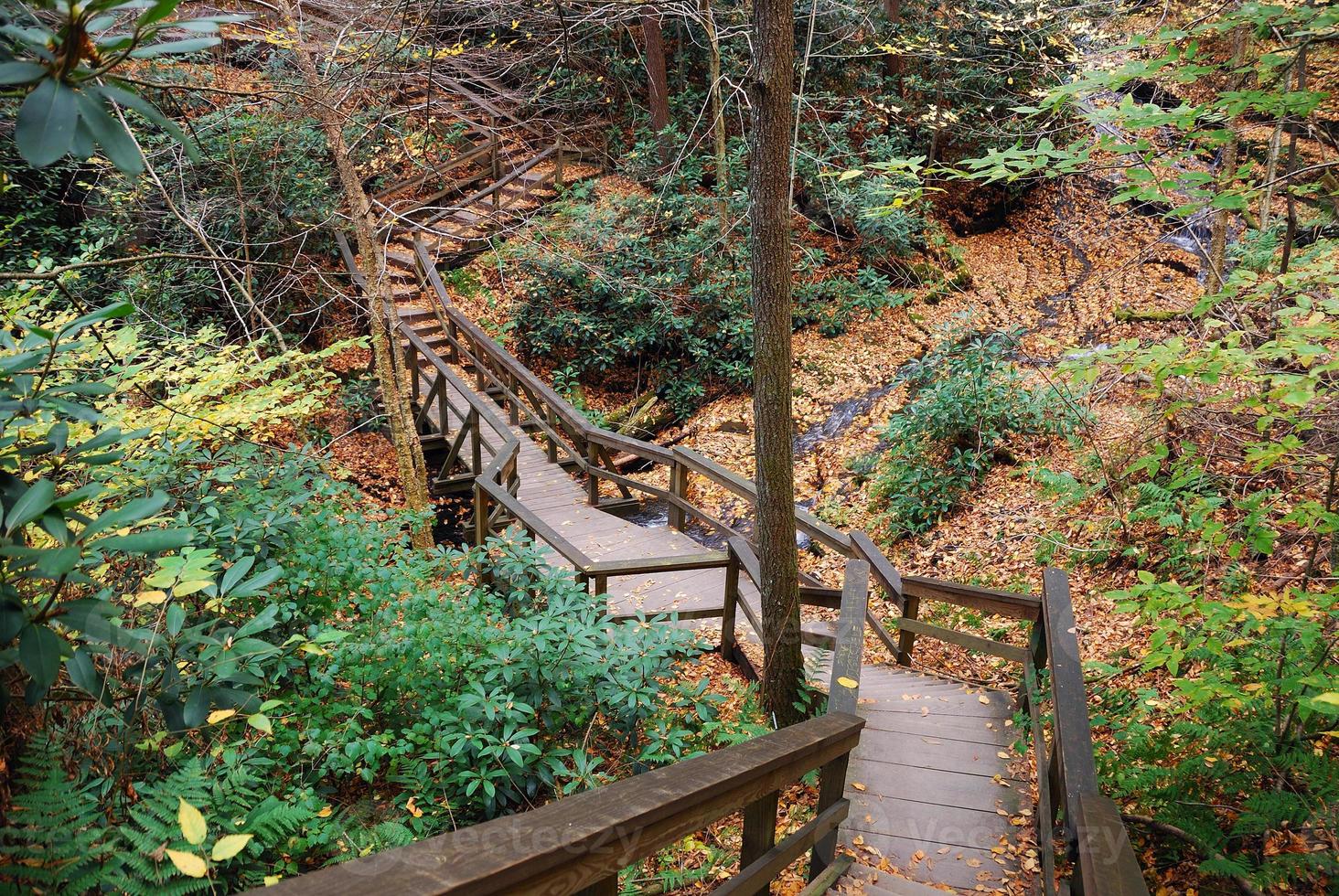 Autumn hiking trail photo