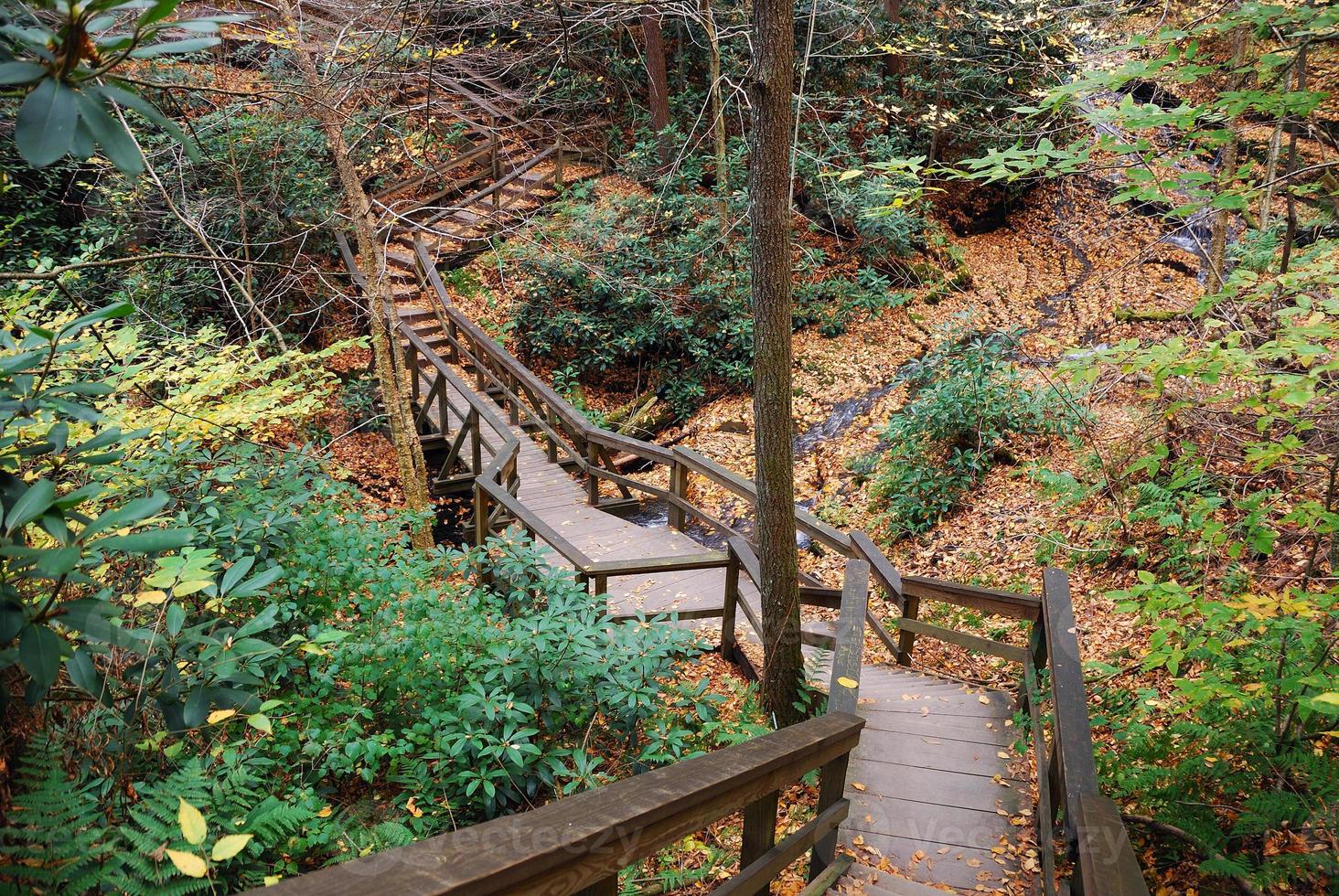 ruta de senderismo de otoño foto