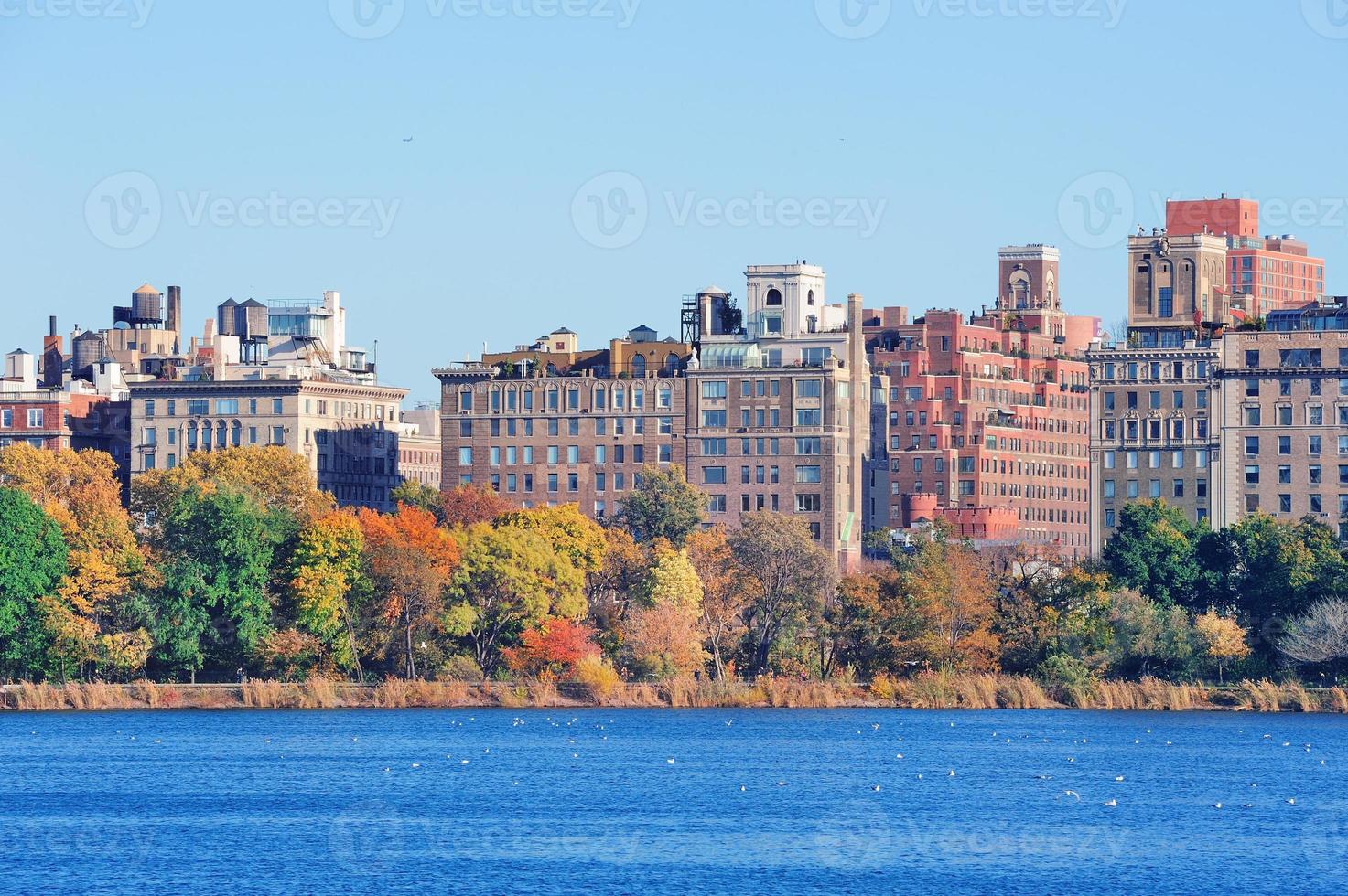 New York City Central Park over lake photo