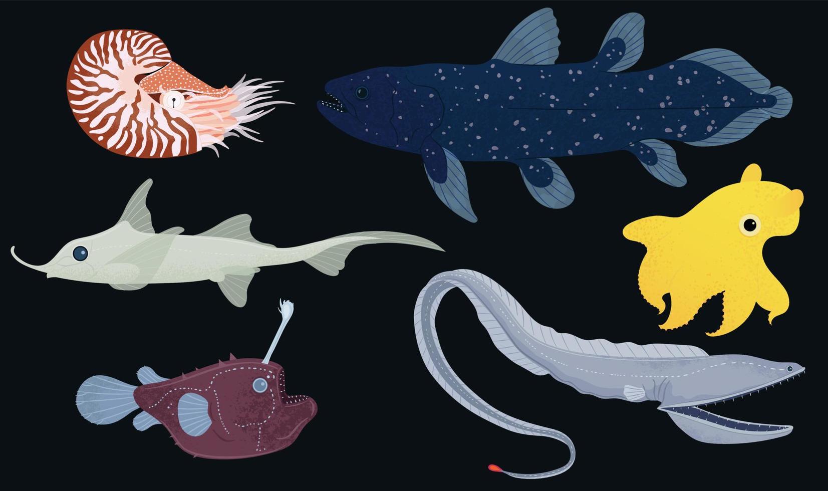 Deep Sea Creatures vector