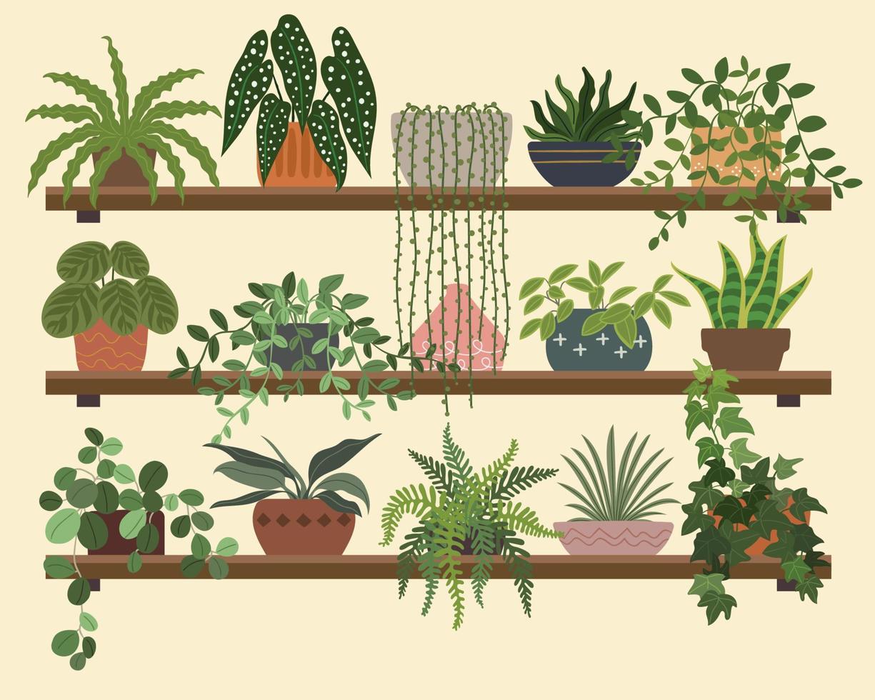 Wall Wood Panel Indoor Plants vector