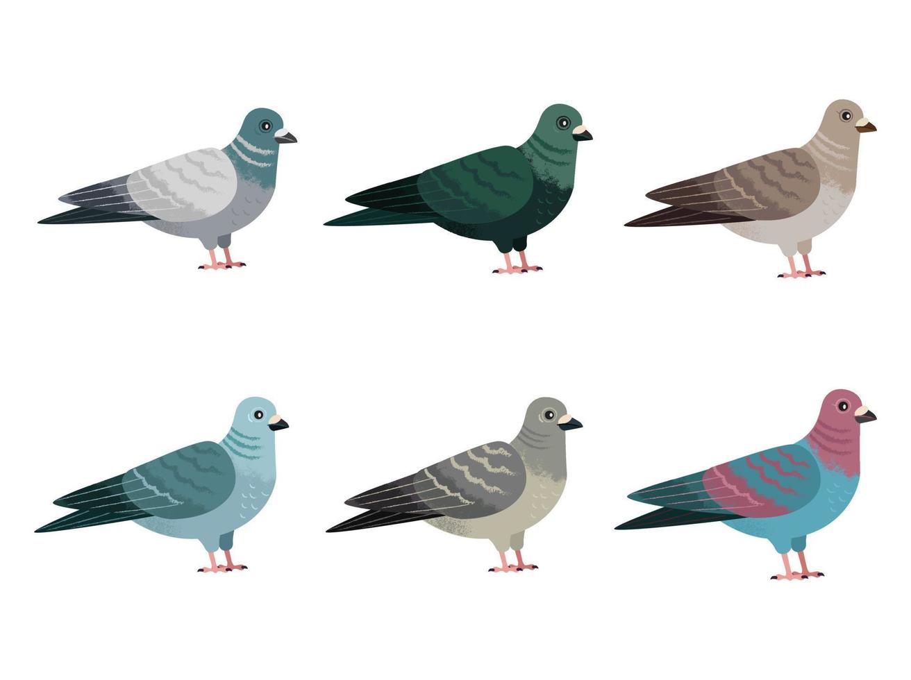 Pigeons Vector Set