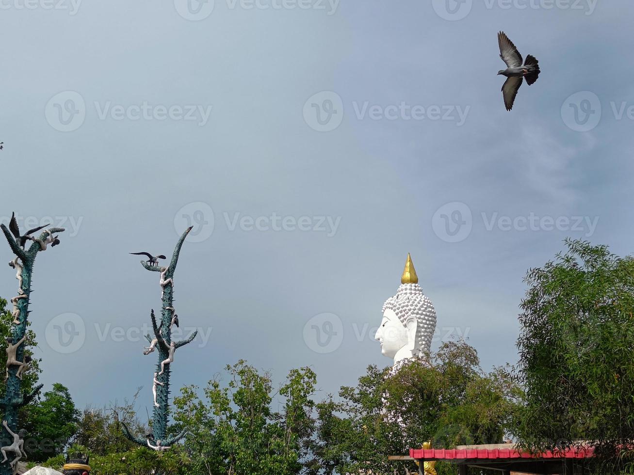 Side view, White buddha in garden of green leaves and flying bird on blue sky background photo