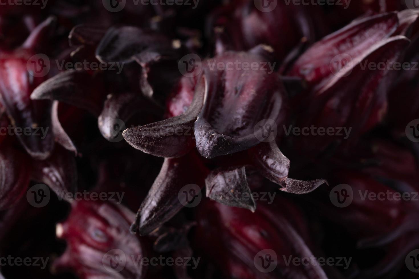 primer plano de hibiscus sabdariffa o frutas roselle foto