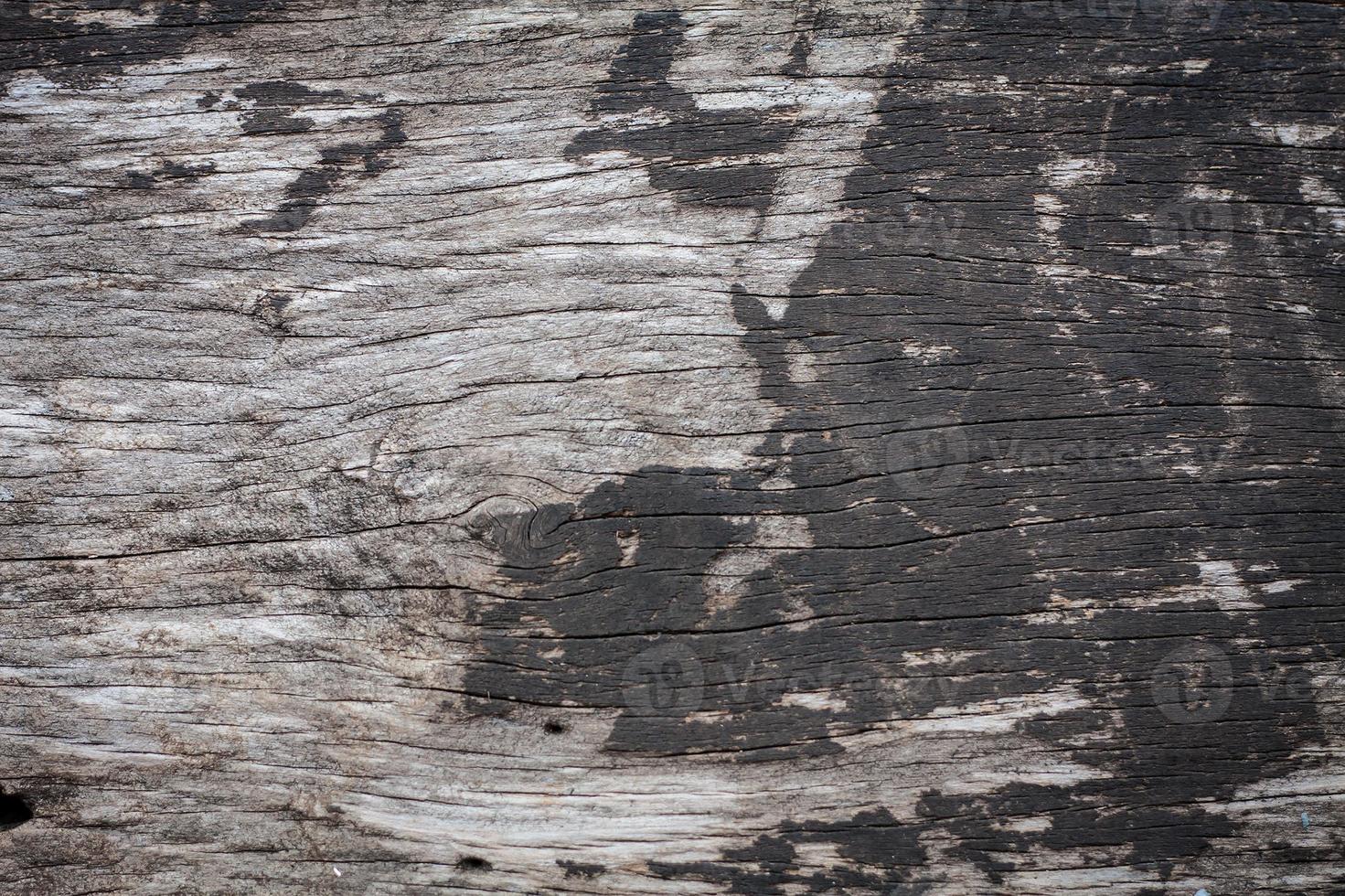 wood texture close up photo