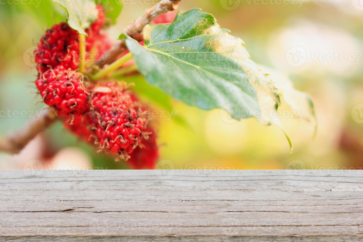 wood table with red mulberries background photo