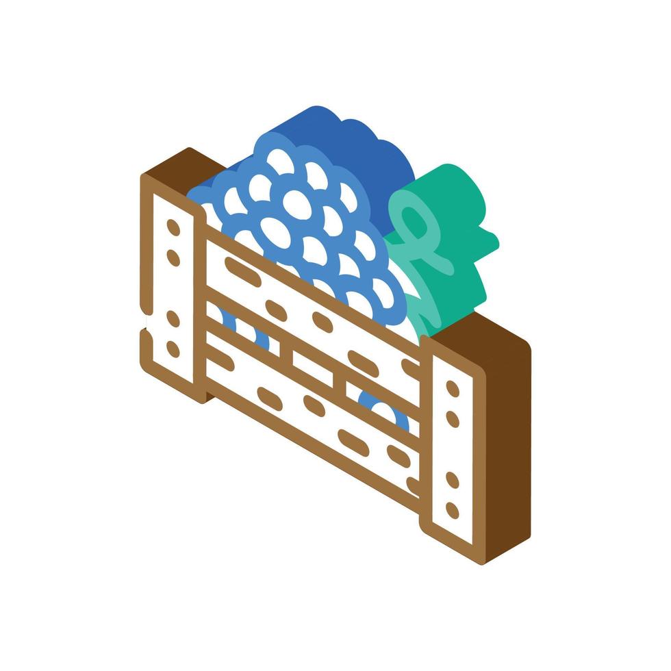 box of grapes isometric icon vector illustration