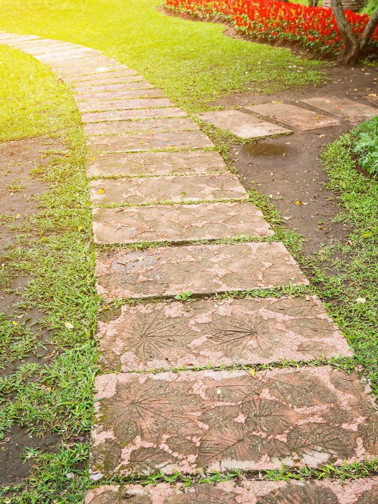 Walkway in the flowers garden photo
