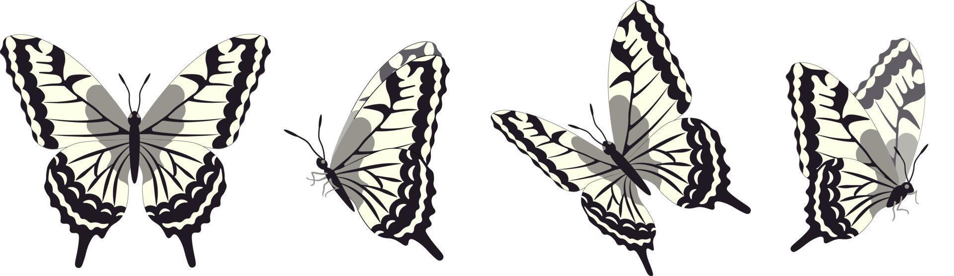 Vector set of beautiful colorful butterflies on a white background