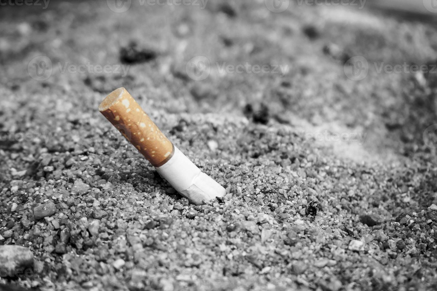 Tobacco Cigarette butt photo