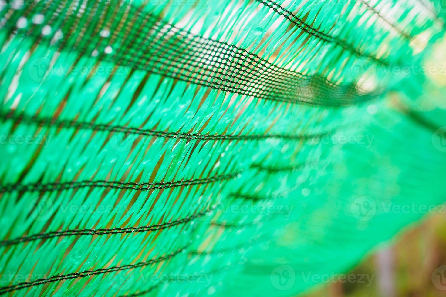 Close up Green Shading Net protect sun light photo