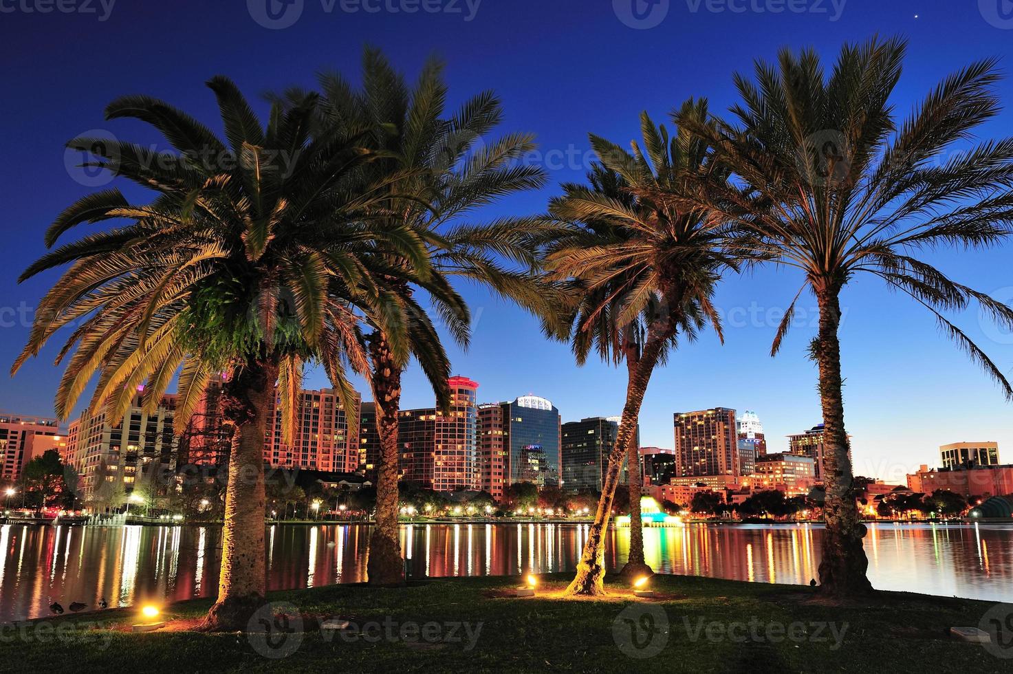 Orlando at night photo