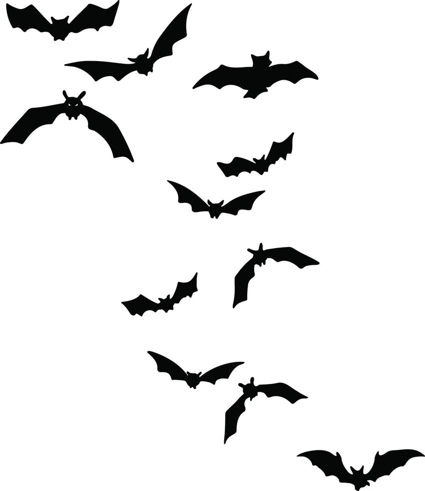 Bats silhouette halloween vector