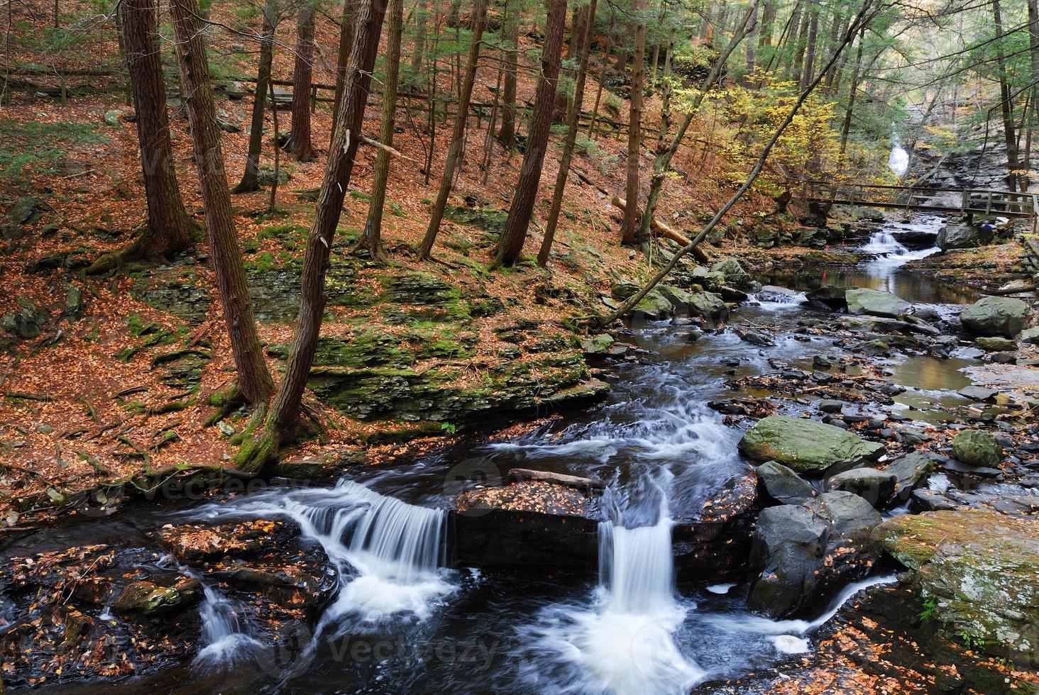 Autumn creek in woods with foliage photo