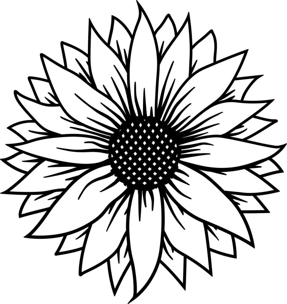 Sunflower outline vector, Summer Floral vector