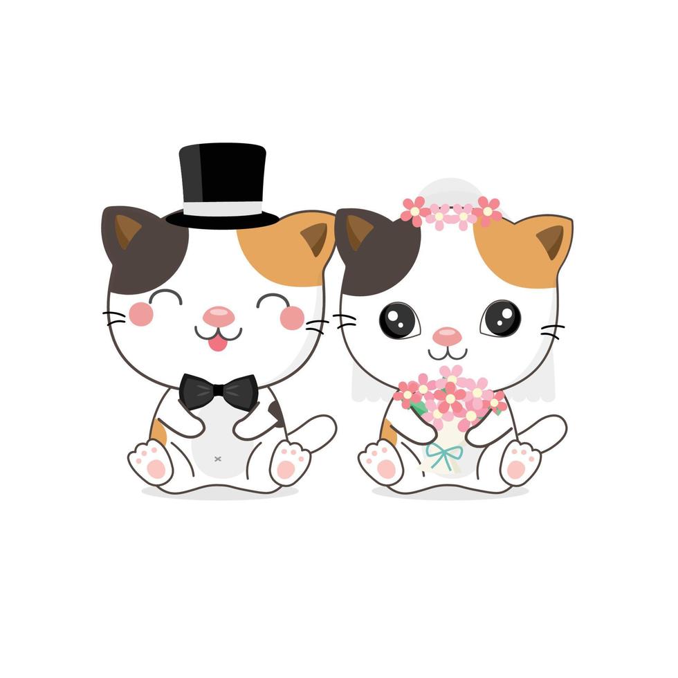 cute cat wearing costumes of bride and groom vector illustration.
