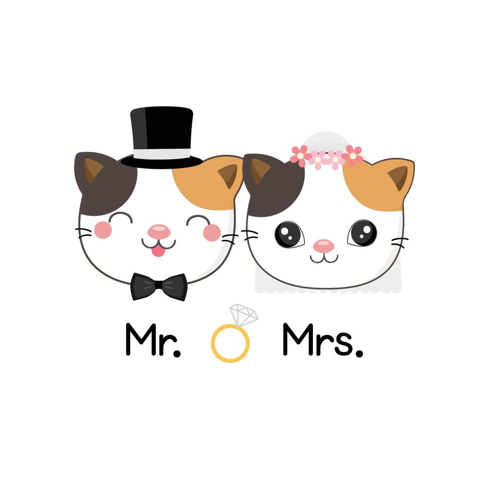 cute cat wearing costumes of bride and groom vector illustration.
