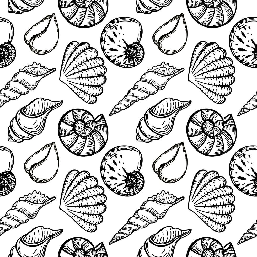 Seamless, hand-drawn sea creatures doodle in sketch style. Seashells. White background. Isolated. Summer. Ocean. Flat design. Vector illustration