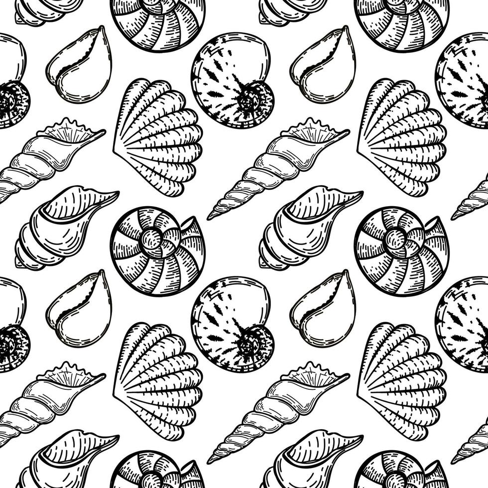 Seamless, hand-drawn sea creatures doodle in sketch style. Seashells. White background. Isolated. Summer. Ocean. Flat design. Vector illustration