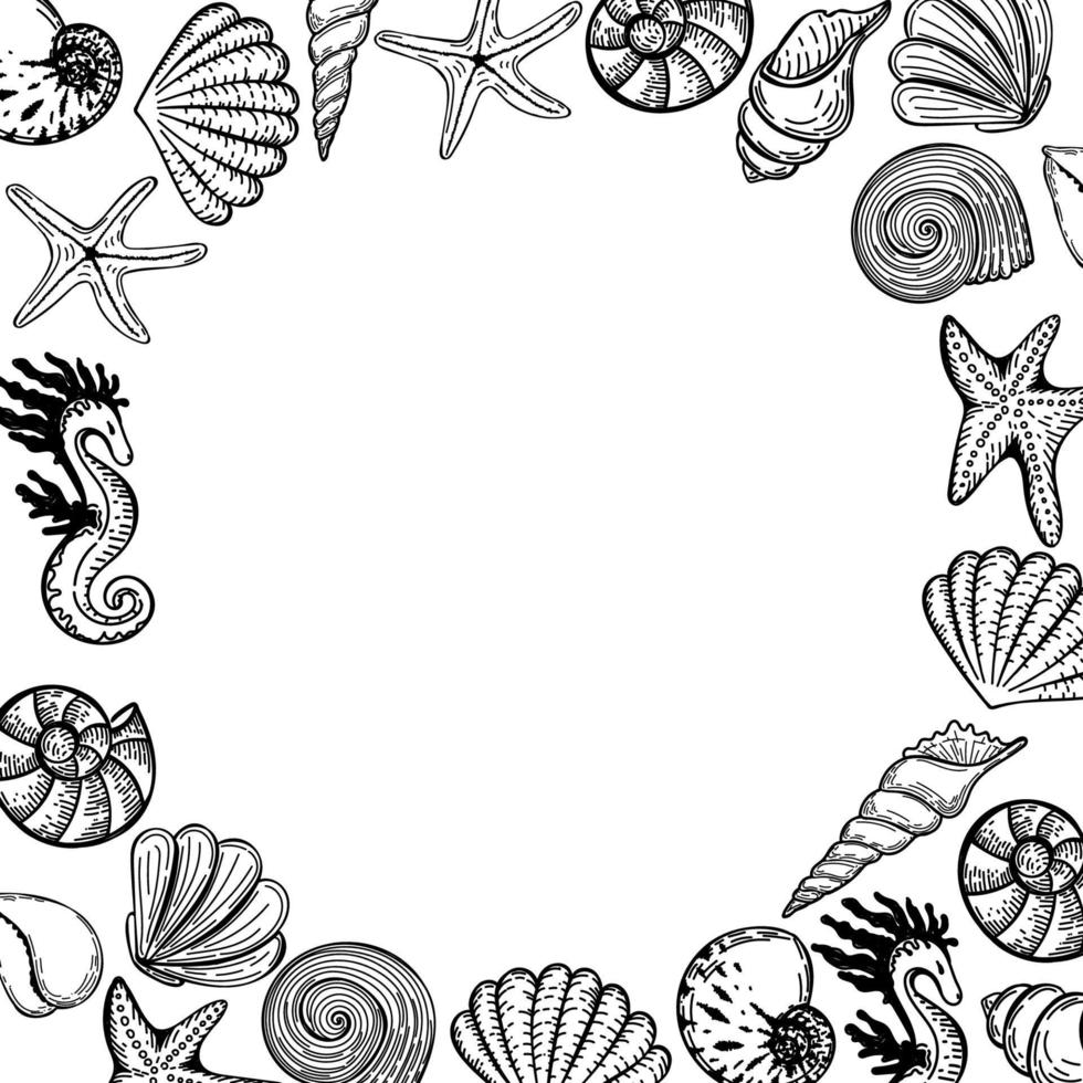 A frame of hand-drawn sea creatures. Seashells, starfish and seahorse. Hand drawn vector illustration. Vector is hand-drawn doodle in sketch style