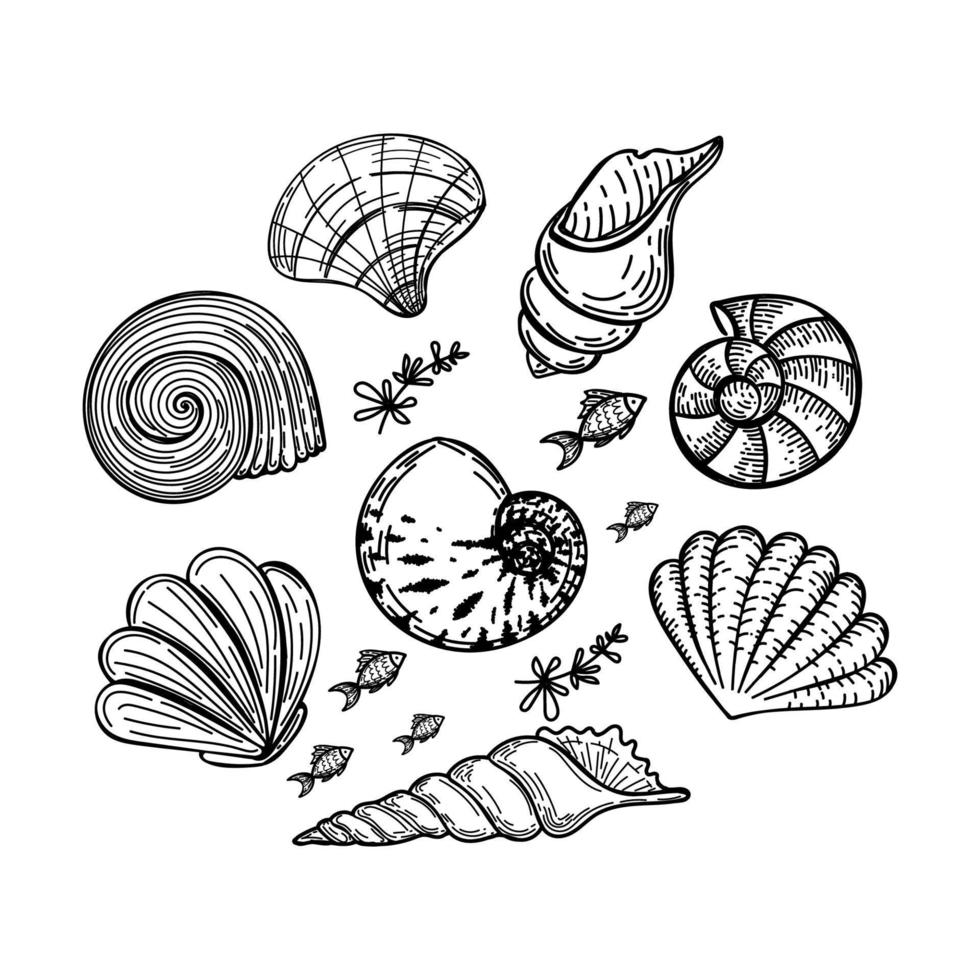 Set of sea creatures in a circle, hand-drawn in sketch style. Circle frame of seashells, seaweed and small fish. Summer greeting card vector