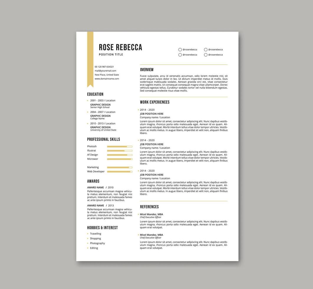 Professional minimalist clean resume cv template. A4 creative curriculum vitae print template Vector EPS10 Editable