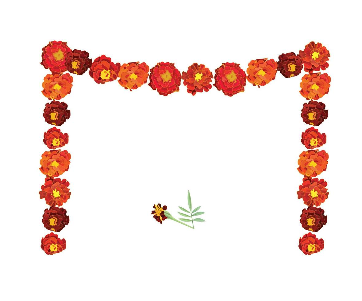 Orange calendula, symbol of the Mexican holiday Day of the Dead. Garland of flowers. Vector stock illustration isolated on white background.