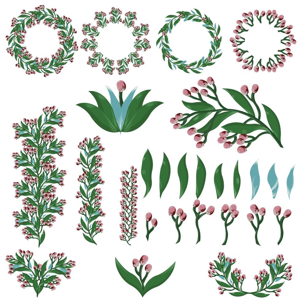 Set of elements from a sprig with pink flowers vector