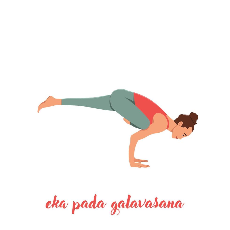 Woman doing yoga, pilates, fitness training, asana Eka Pada Galavasana, Flying Pigeon or flying crow Pose, One-Legged Balance. Flat vector illustration isolated on white background