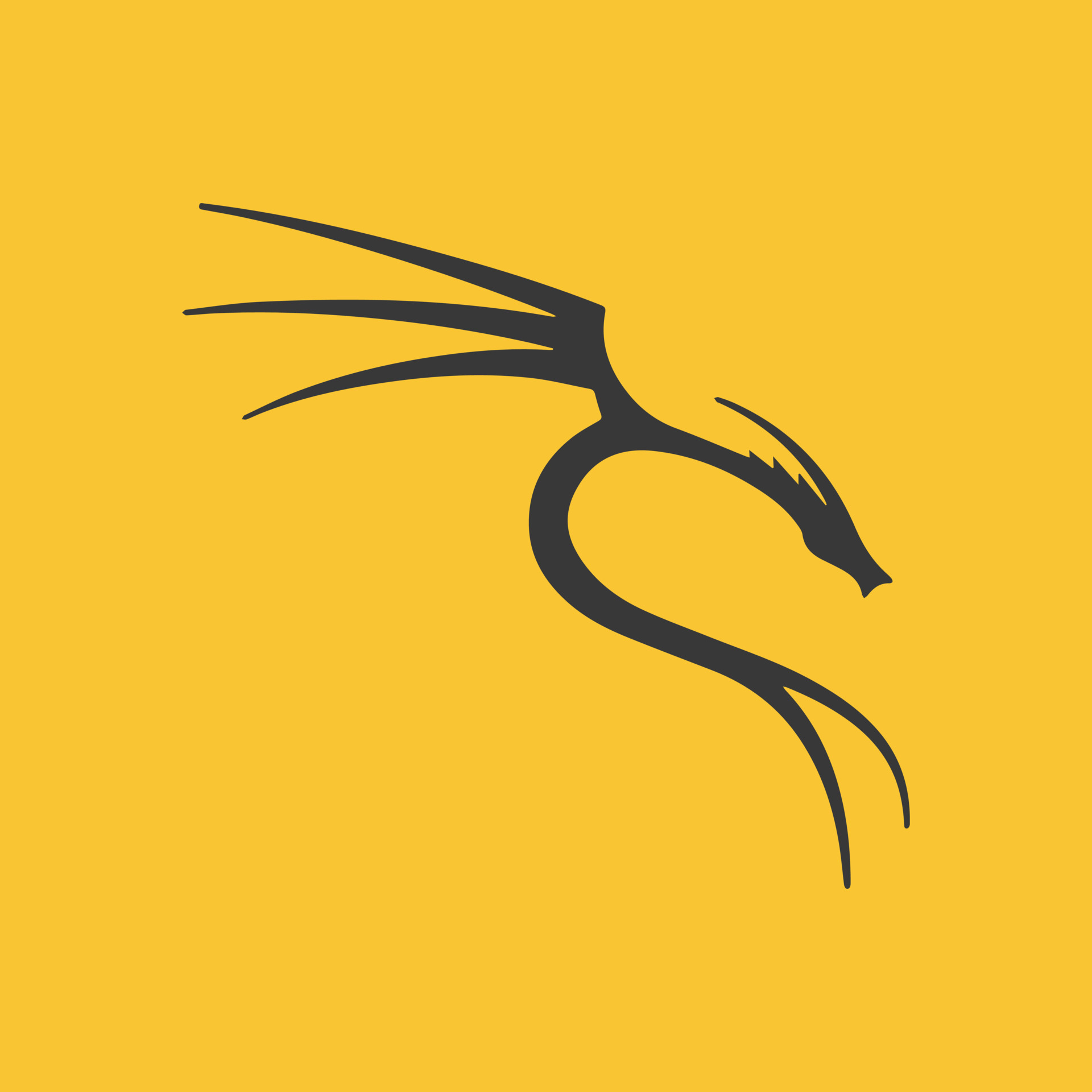 Kali Linux Dragon 8325229 Vector Art At Vecteezy kali-linux-dragon-8325229-vector-art-at-vecteezy