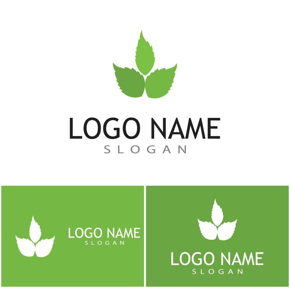 Mint leaves flat vector color icon template illustration design
