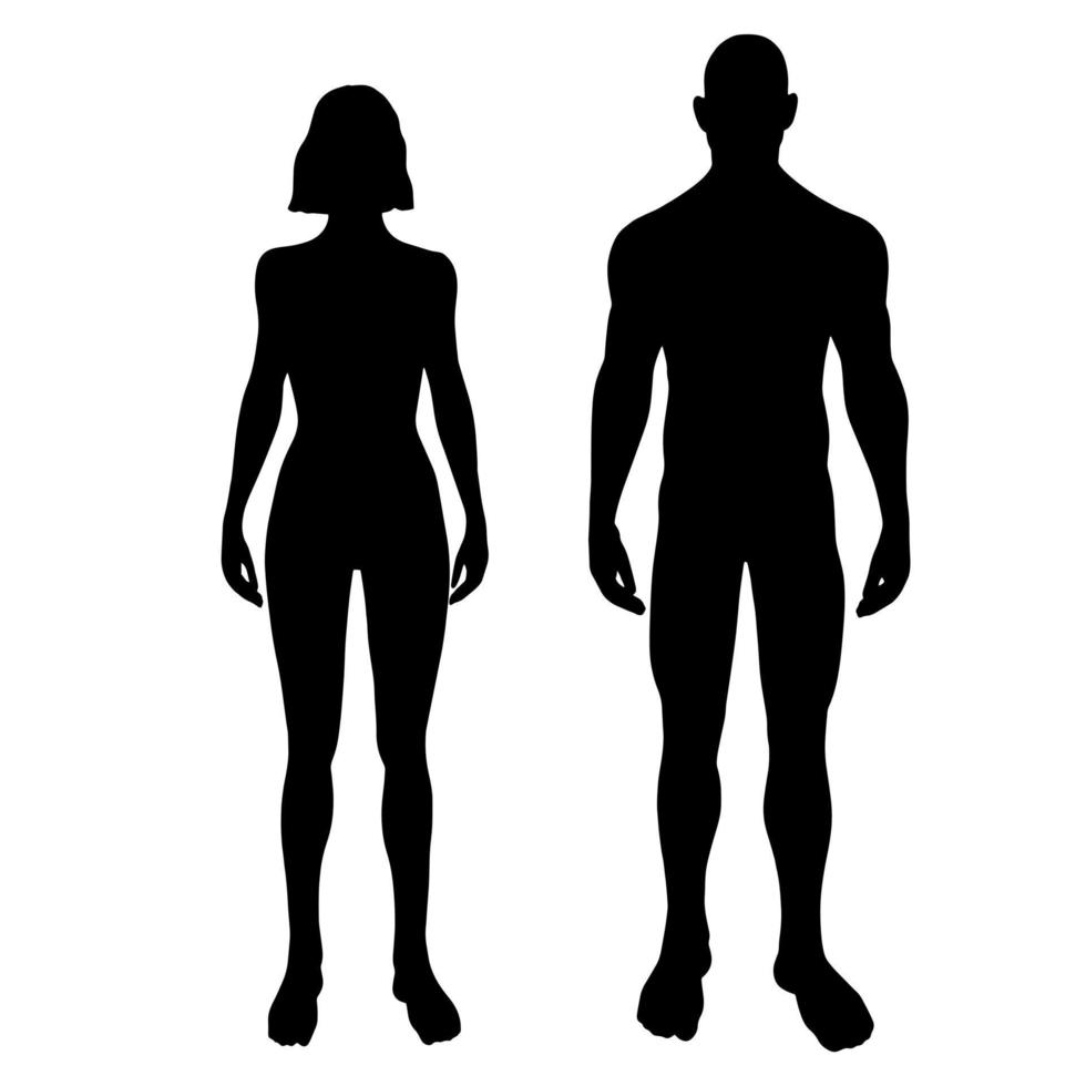 siluetas de pie de hombre y mujer en la vista frontal. ilustración vectorial del cuerpo masculino y femenino vector