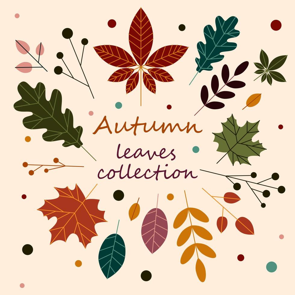 Autumn hand drawn leaves vector set. Fall season leaves stickers pack. Autumn cute and cozy design elements decorative bundle. Vector illustration.