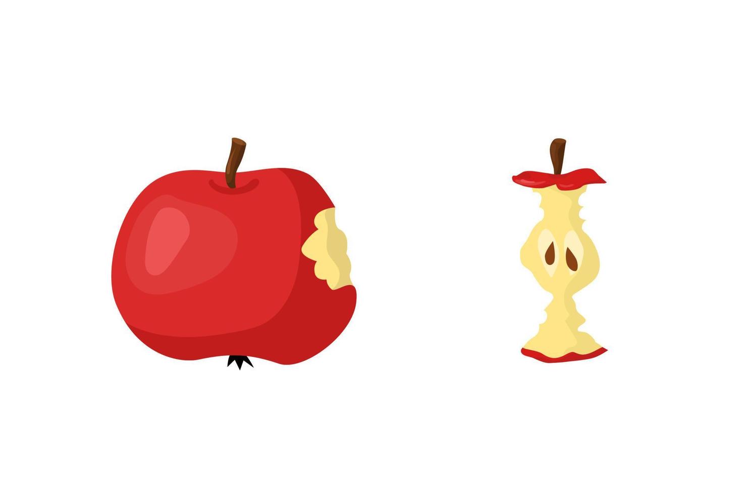 ilustración vectorial de manzana mordida y núcleo de manzana vector