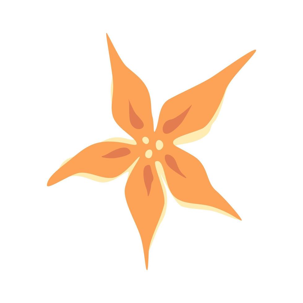 Flower with five pointed petals. Vector illustration.