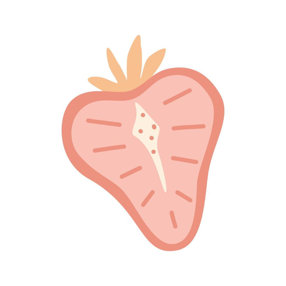 Half strawberry vector hand drawn illustration