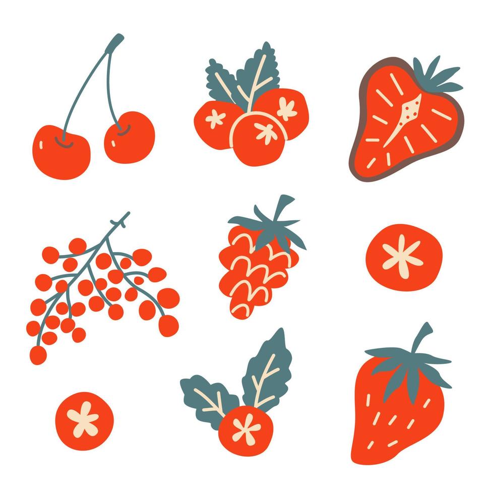 conjunto de bayas. cerezas, fresas, chokeberry. ilustración vectorial dibujada a mano. vector