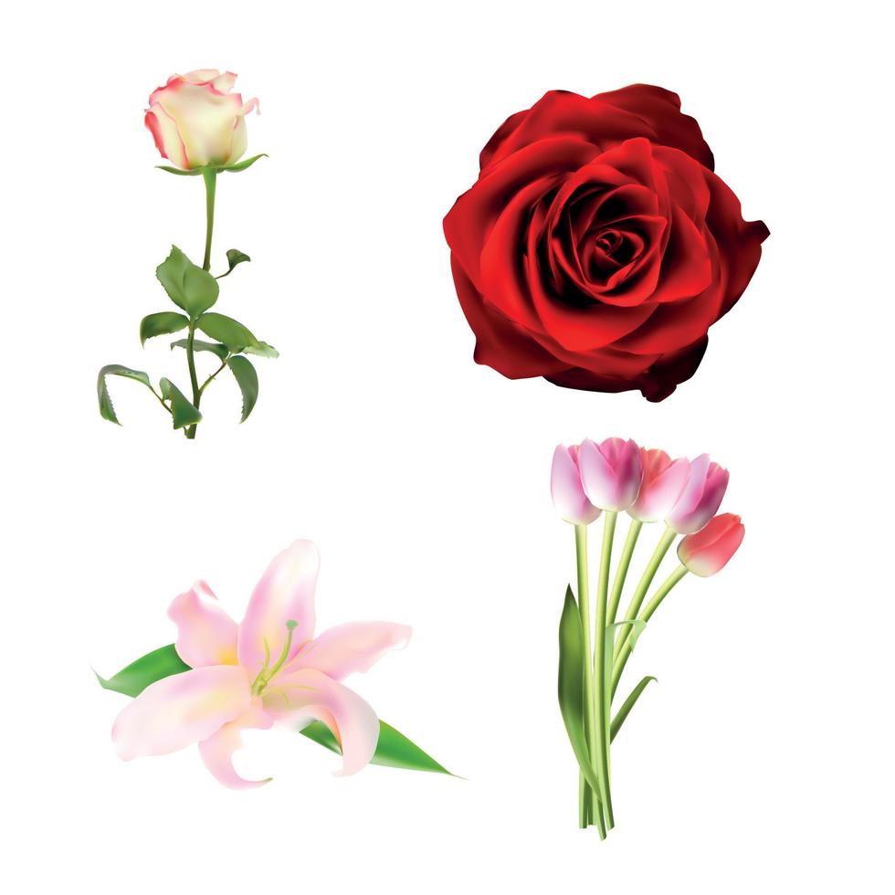 Realistic Flower Set High Quality Vector Illustration