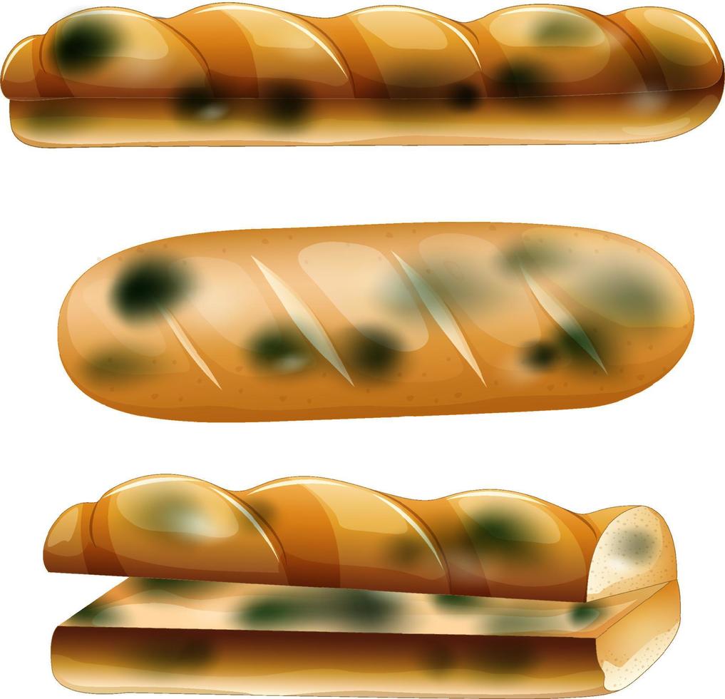 Inedible bread with mould vector