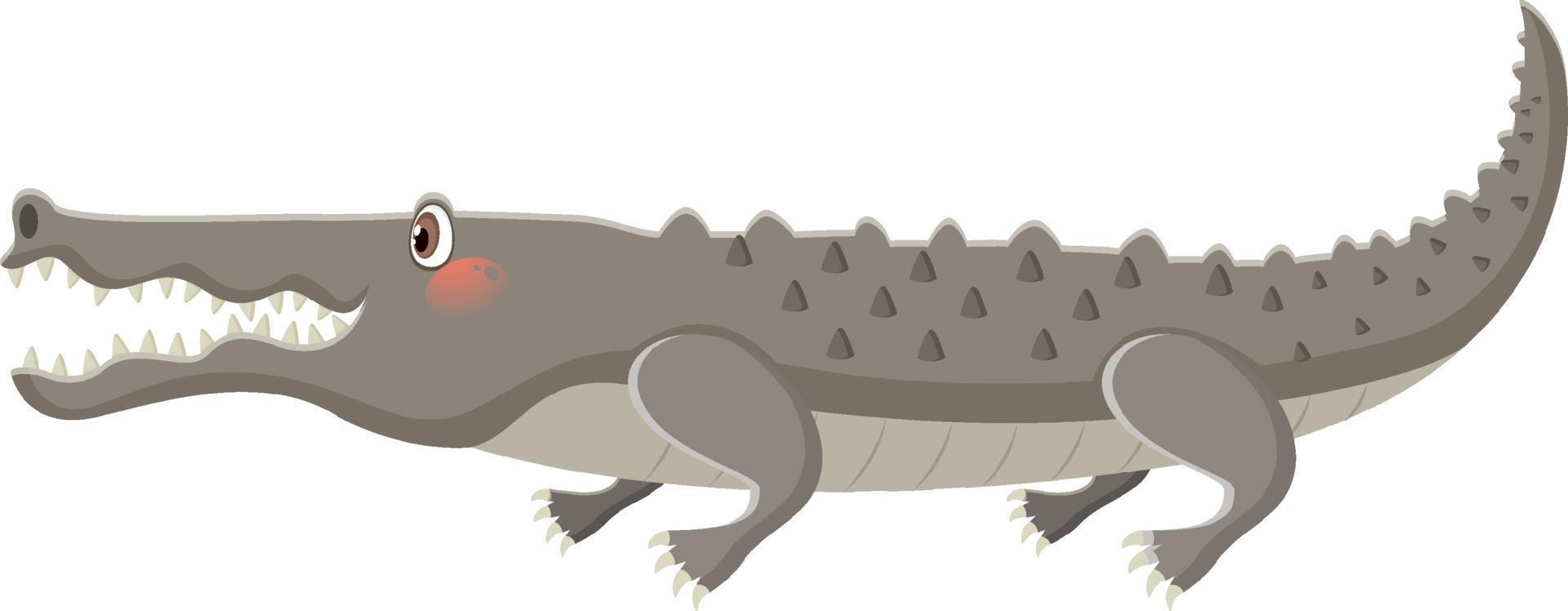 A crocodile cartoon on white background vector