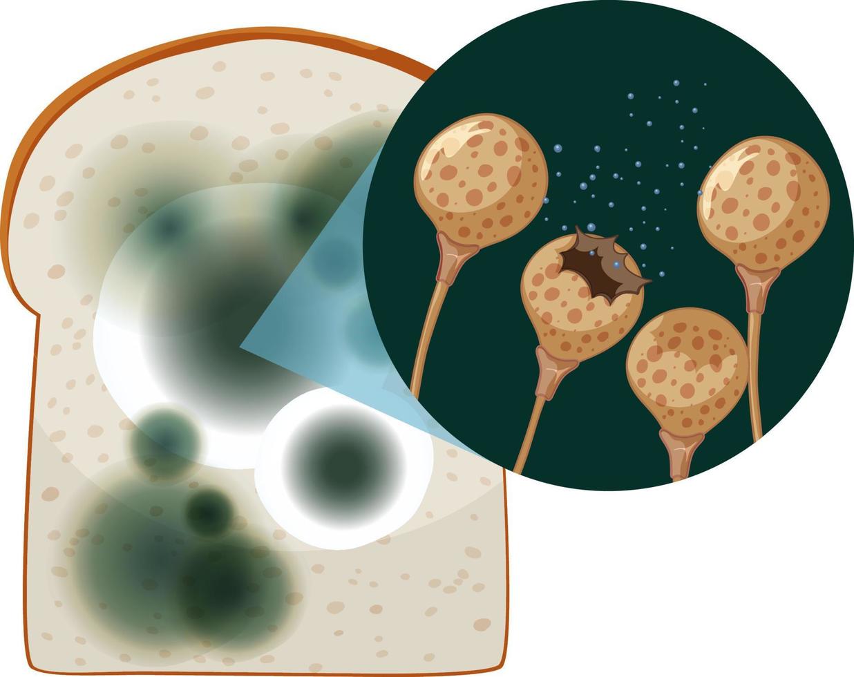 un trozo de pan con moho vector