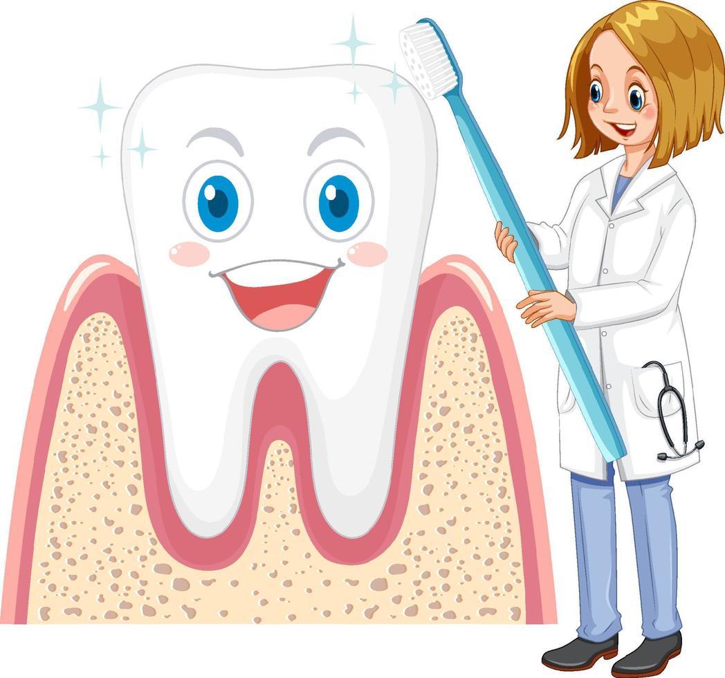 Dentist brushing bit tooth with a toothbrush on white background vector