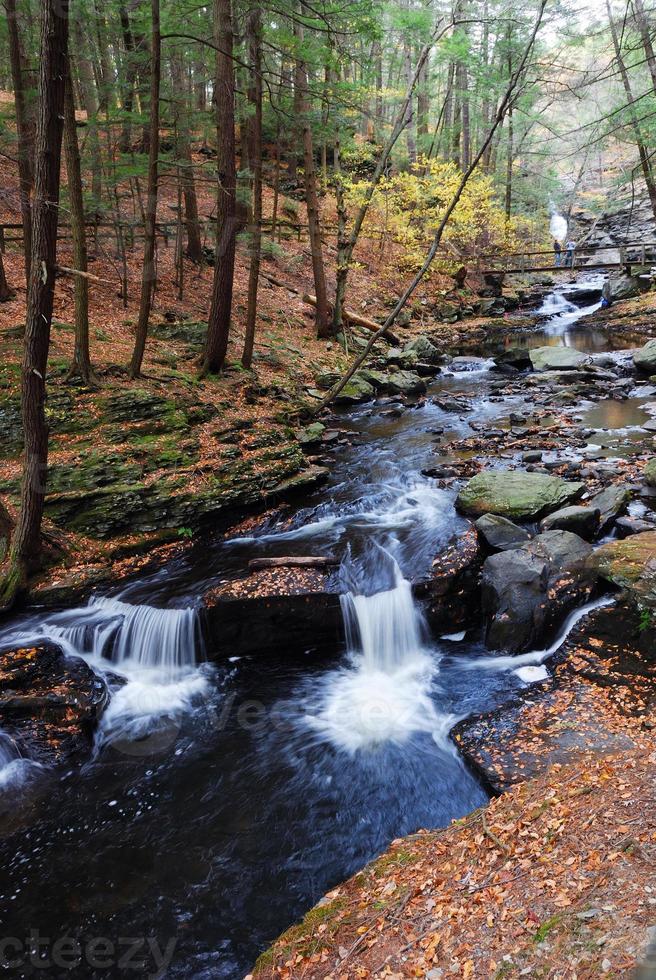 Autumn creek in woods with foliage photo