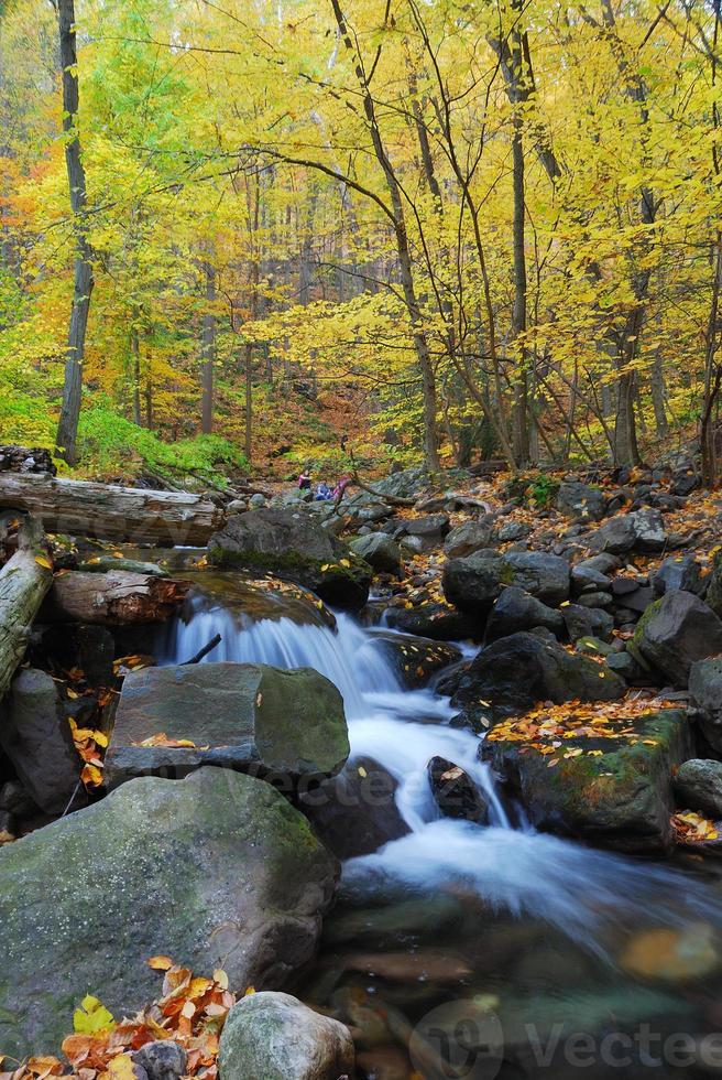 Autumn creek closeup with yellow maple trees photo