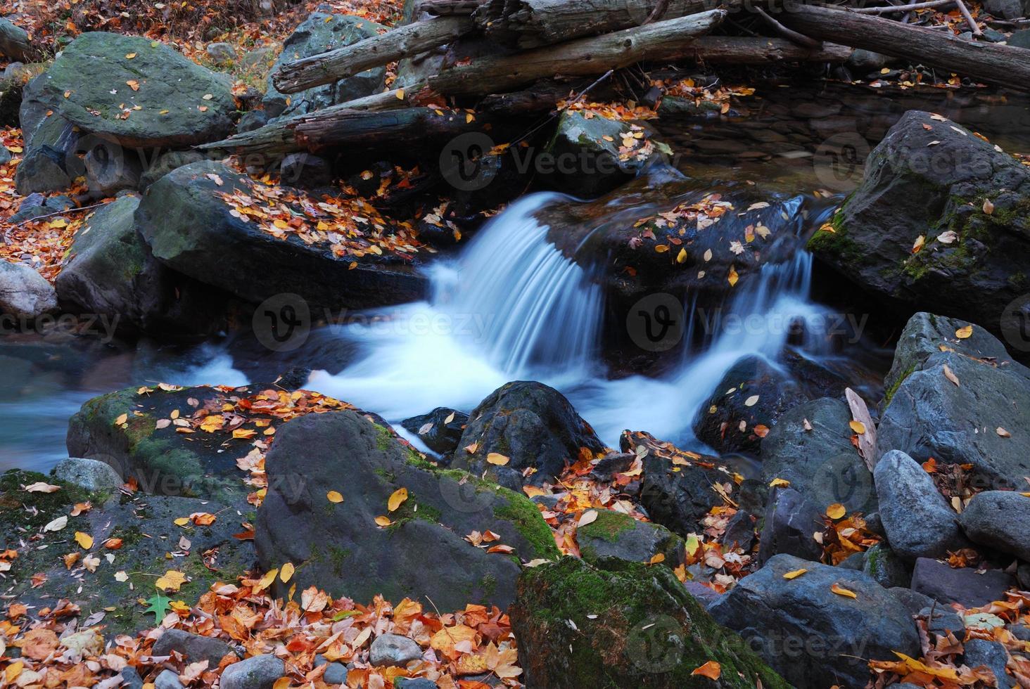 Autumn creek closeup photo