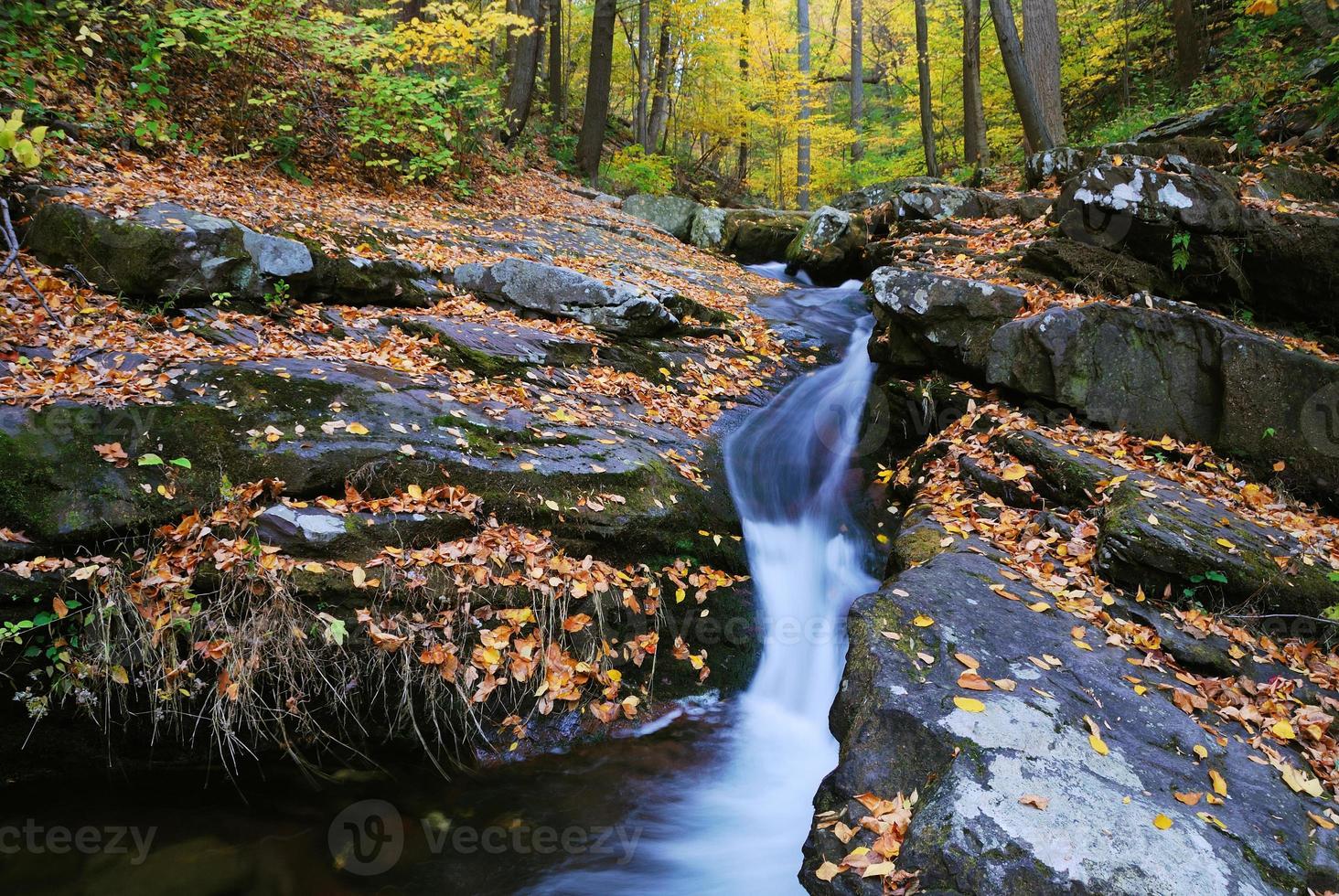 Autumn creek closeup photo